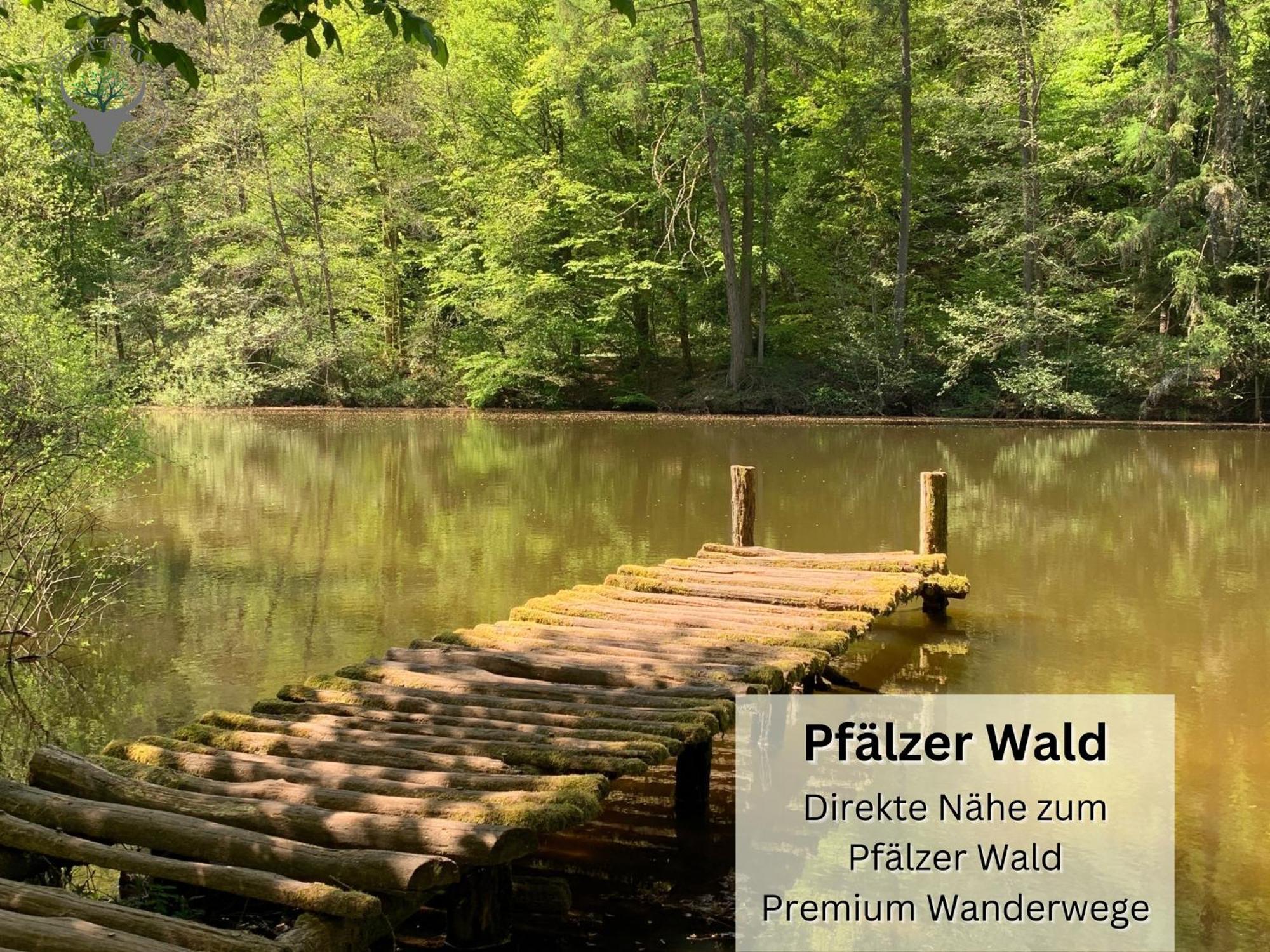 Apartamento Stierpartment Am Pfaelzer Wald Naehe Outlet Center Zweibruecken Pirmasens Exterior foto